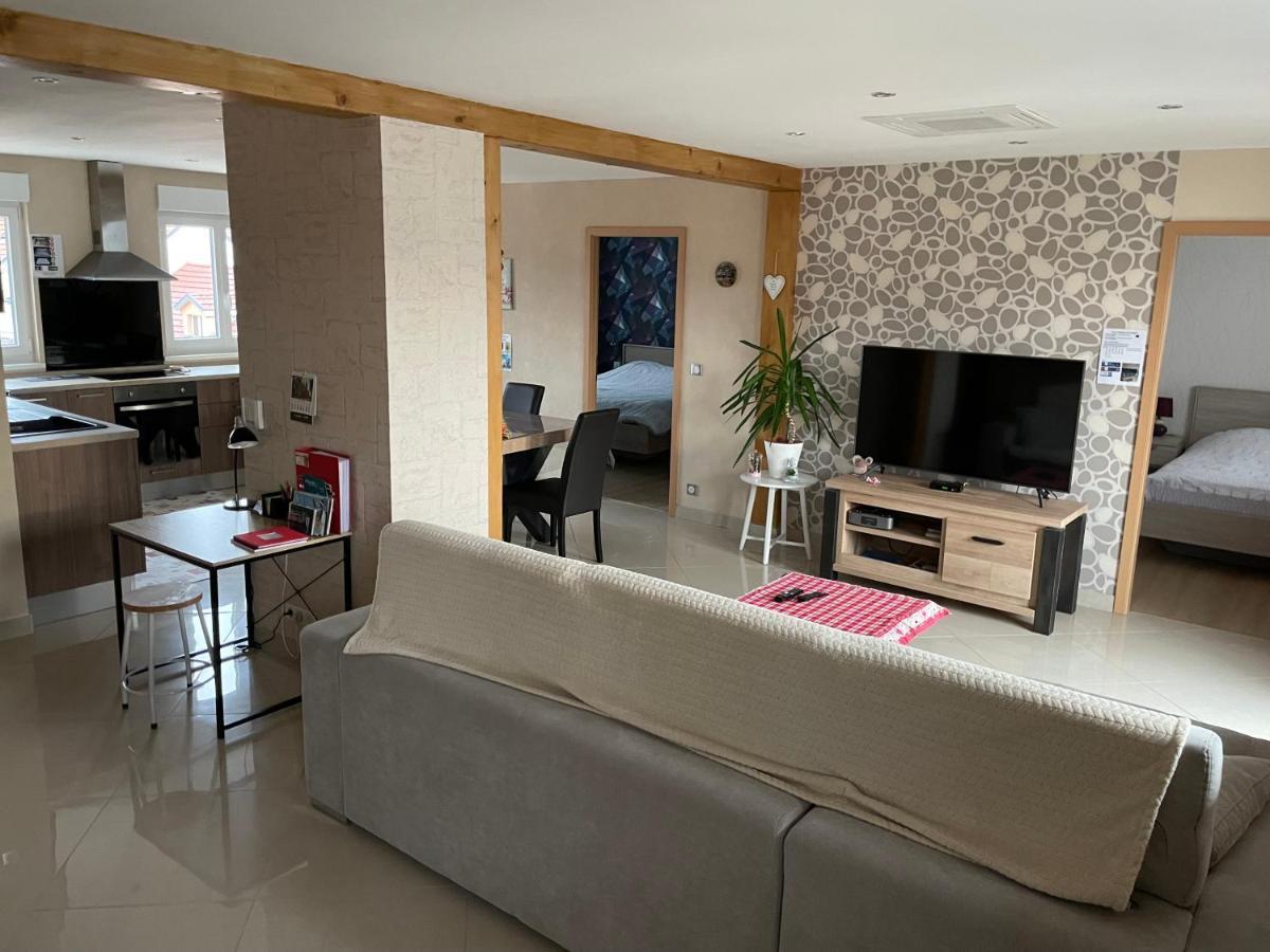 Appartements Centre Ville Colmar 4 Familles ภายนอก รูปภาพ